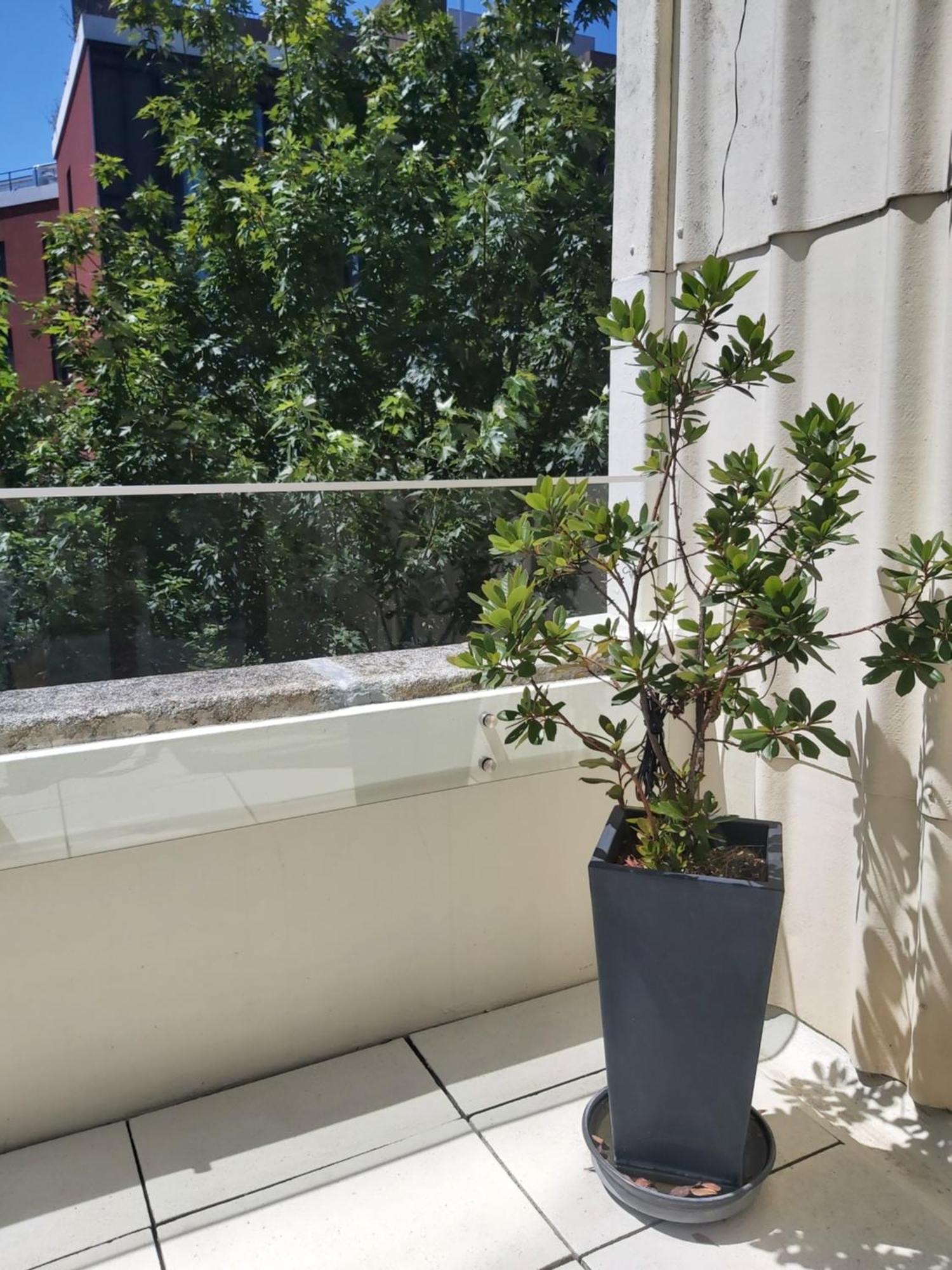 Porto Terrace Apartment ภายนอก รูปภาพ